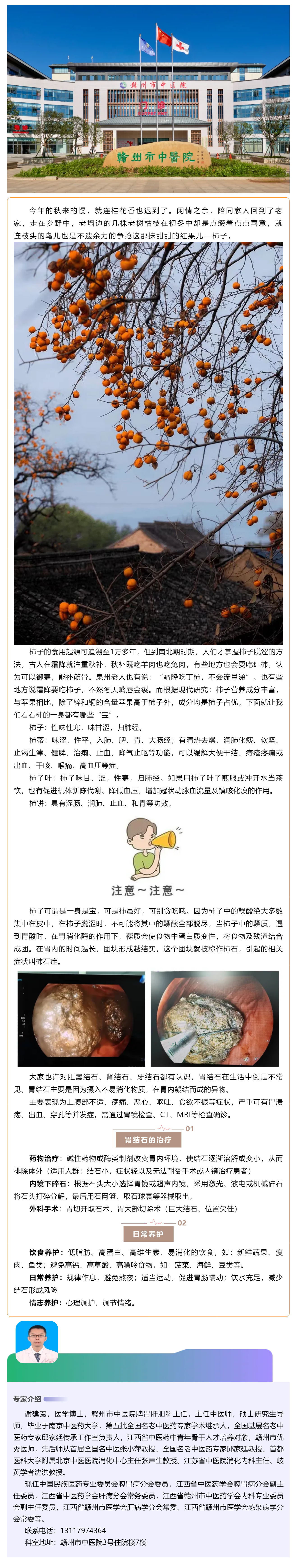 【科普】多“柿”之秋，愛吃柿子的你，小心胃石癥.png