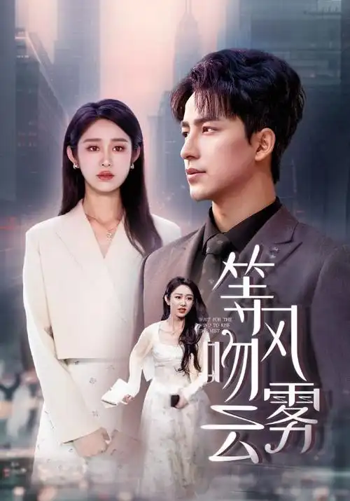 琅琊榜3 海报